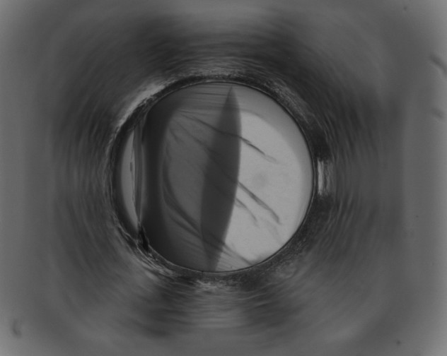 X0000091910723200710031018