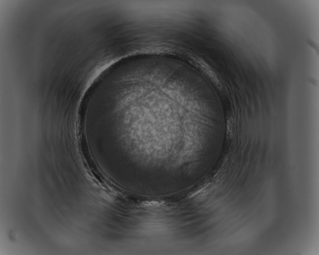 X0000091910724200710031018