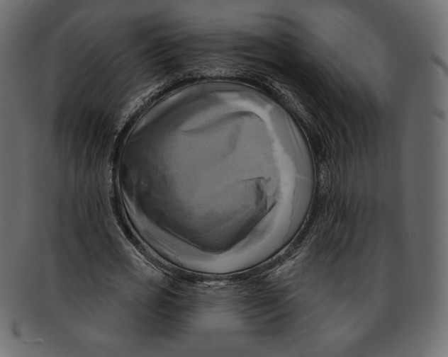 X0000091910725200710031018