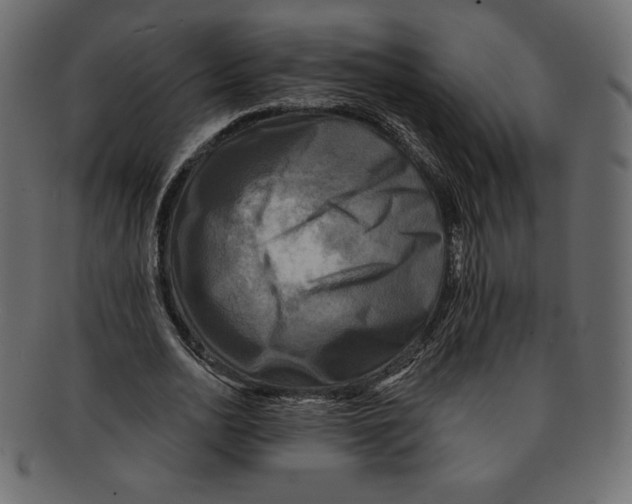 X0000091910726200710031018