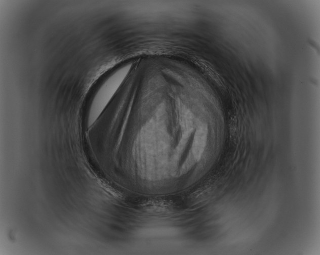 X0000091910727200710031018