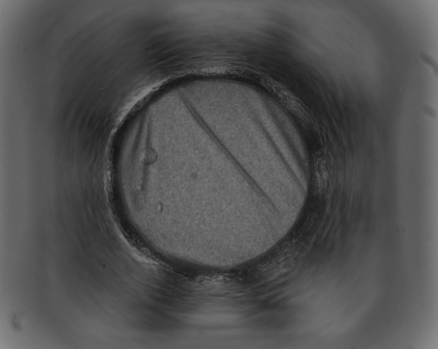 X0000091910728200710031018