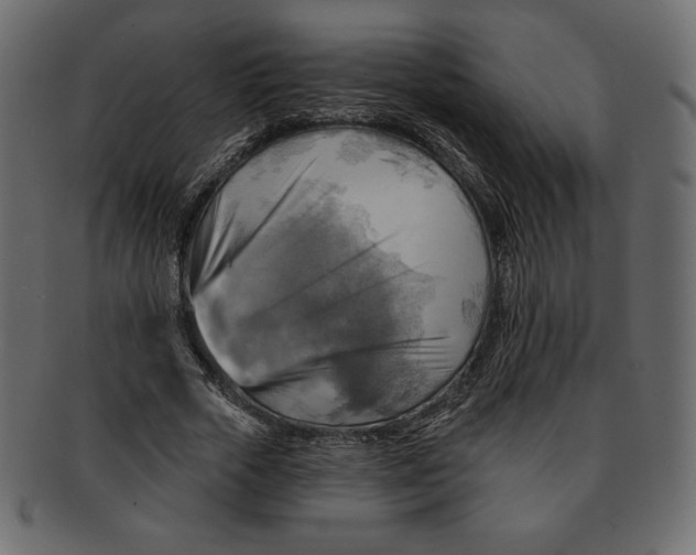 X0000091910729200710031018