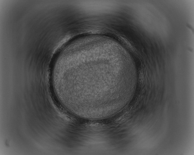 X0000091910730200710031018