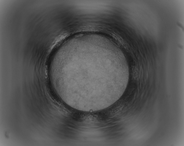 X0000091910731200710031018