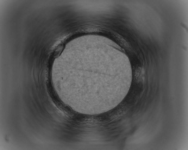 X0000091910732200710031018