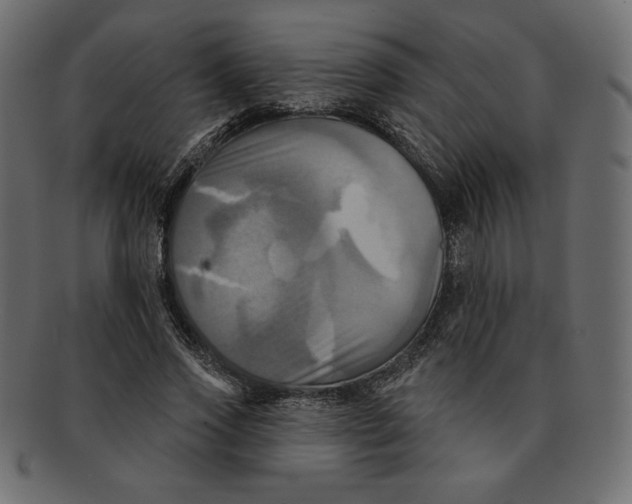 X0000091910733200710031018