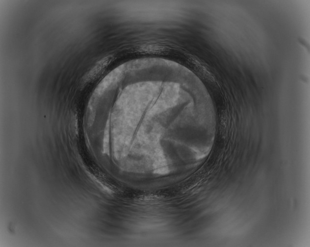 X0000091910734200710031018