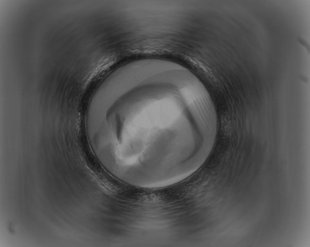 X0000091910735200710031018