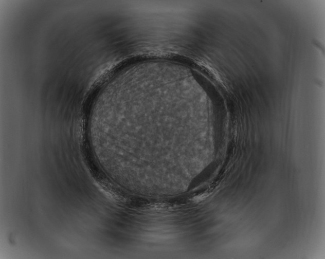 X0000091910736200710031018