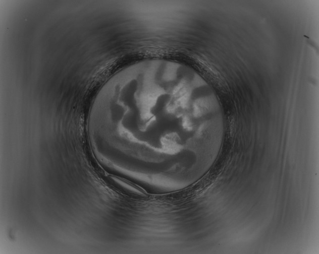 X0000091910737200710031018