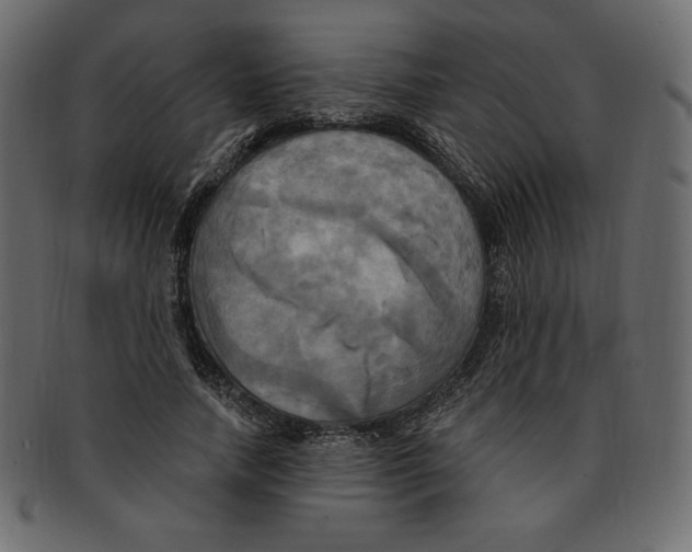 X0000091910738200710031018