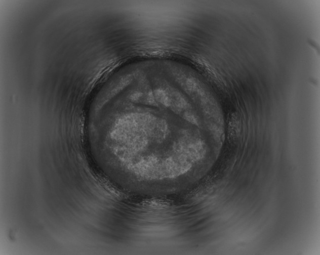 X0000091910739200710031018