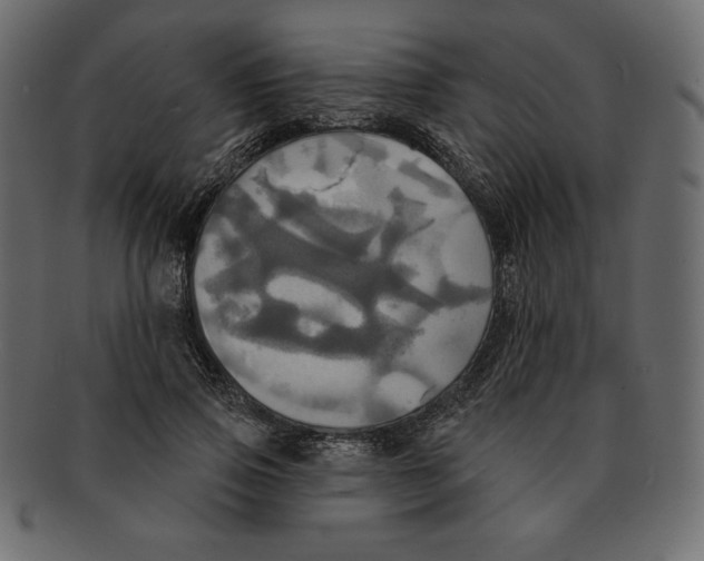 X0000091910741200710031018