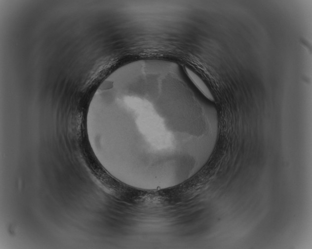 X0000091910742200710031018