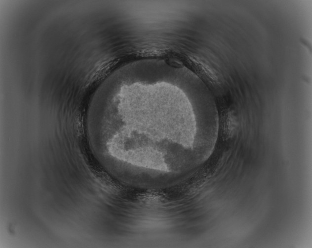 X0000091910743200710031019