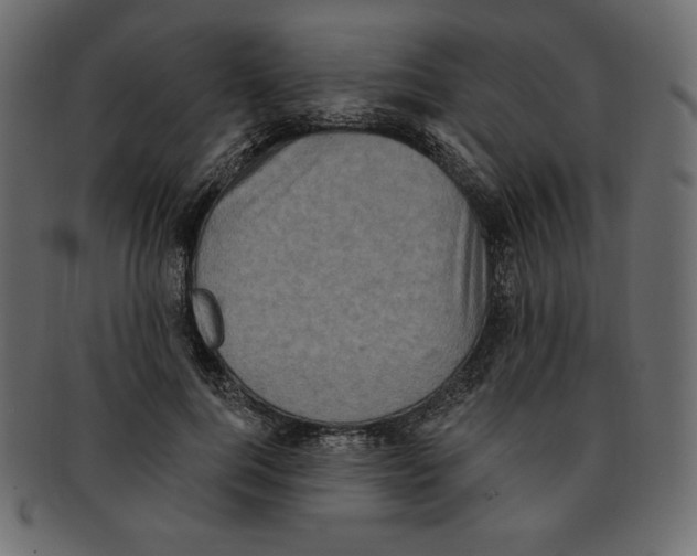 X0000091910744200710031019