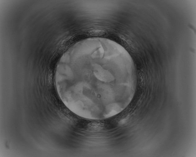 X0000091910745200710031019