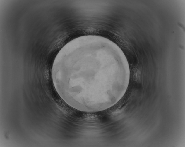 X0000091910746200710031019