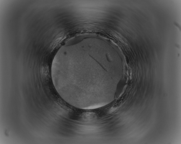 X0000091910748200710031019