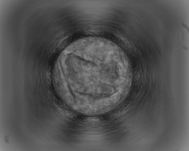 X0000091910749200710031019