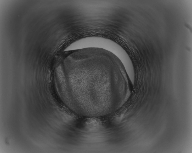 X0000091910750200710031019