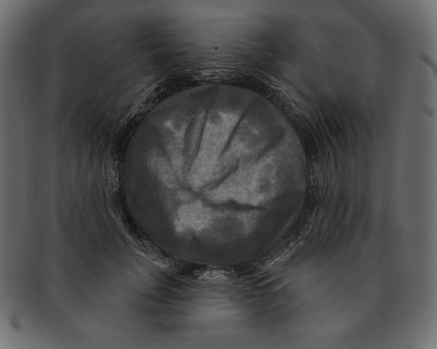 X0000091910751200710031019