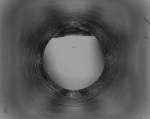 X0000091910752200710031019