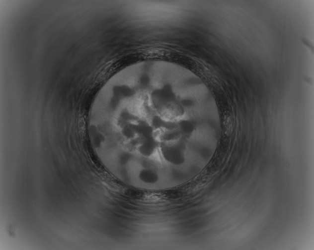 X0000091910753200710031019