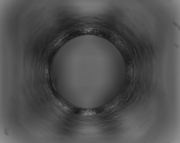 X0000091910754200710031019