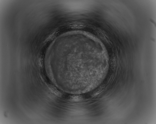 X0000091910755200710031019