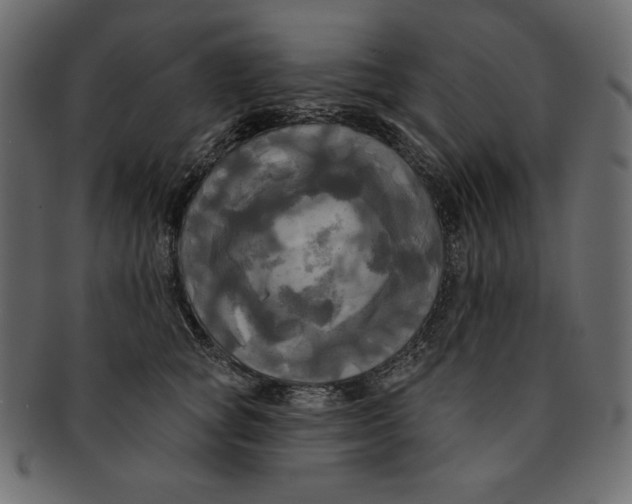 X0000091910757200710031019