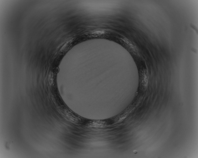 X0000091910758200710031019