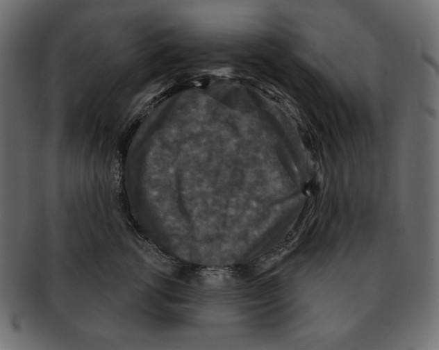 X0000091910762200710031019