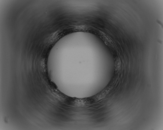 X0000091910764200710031019