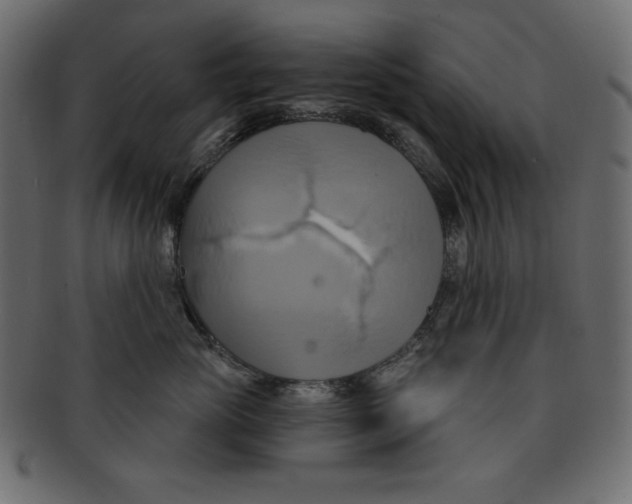 X0000091910765200710031019