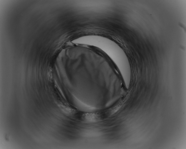 X0000091910766200710031019