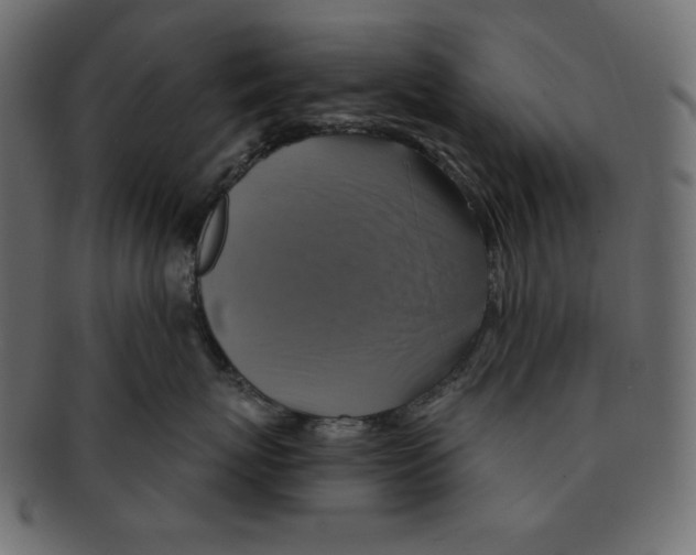 X0000091910767200710031019