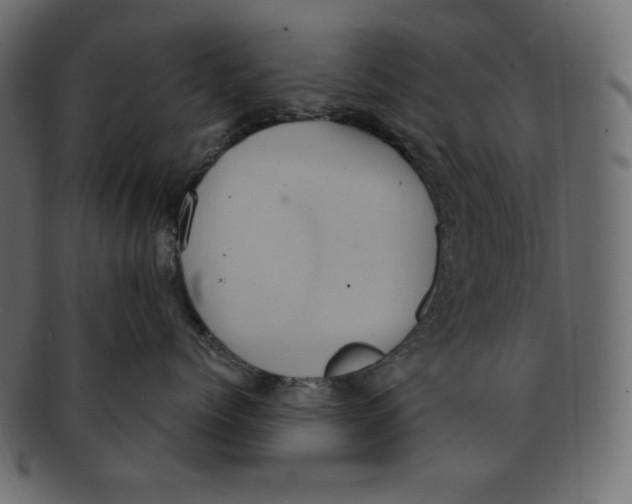 X0000091910768200710031019