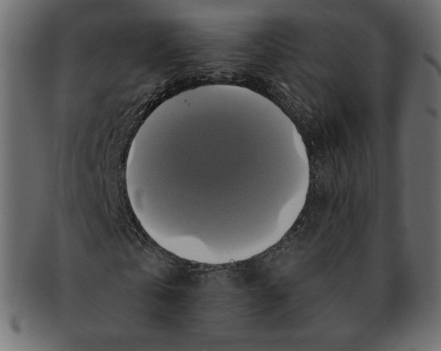 X0000091910769200710031018