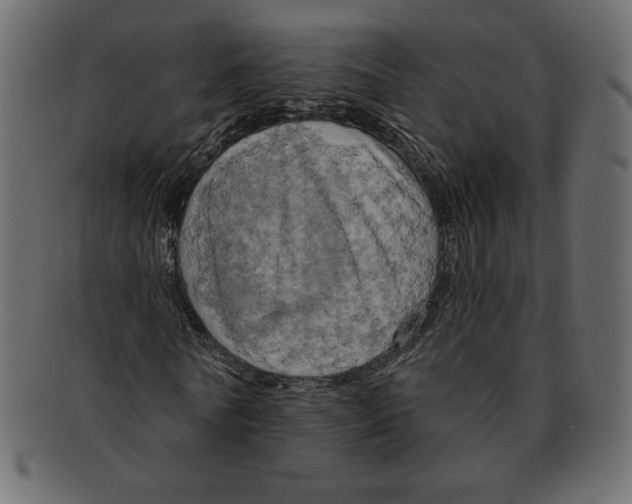 X0000091910770200710031018