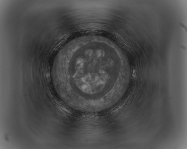 X0000091910771200710031018