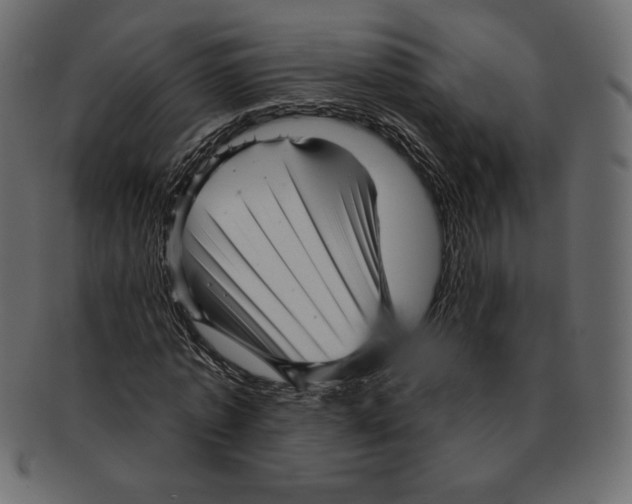 X0000091910773200710031018