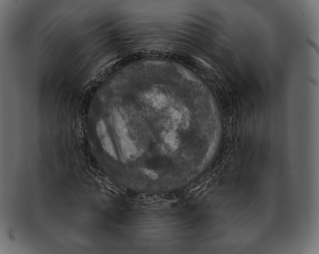 X0000091910774200710031018