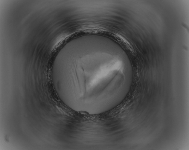 X0000091910775200710031018