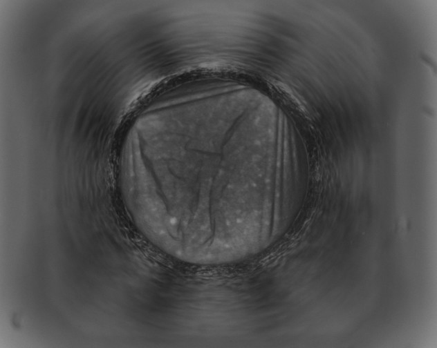 X0000091910776200710031018