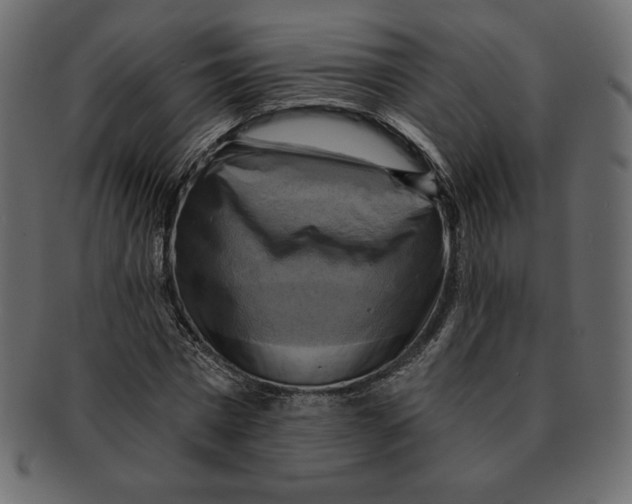 X0000091910777200710031018