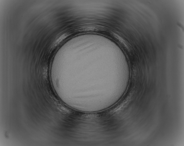 X0000091910778200710031018