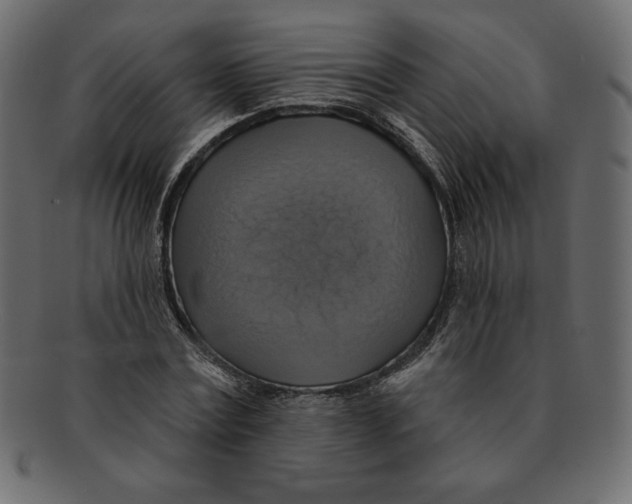 X0000091910779200710031018