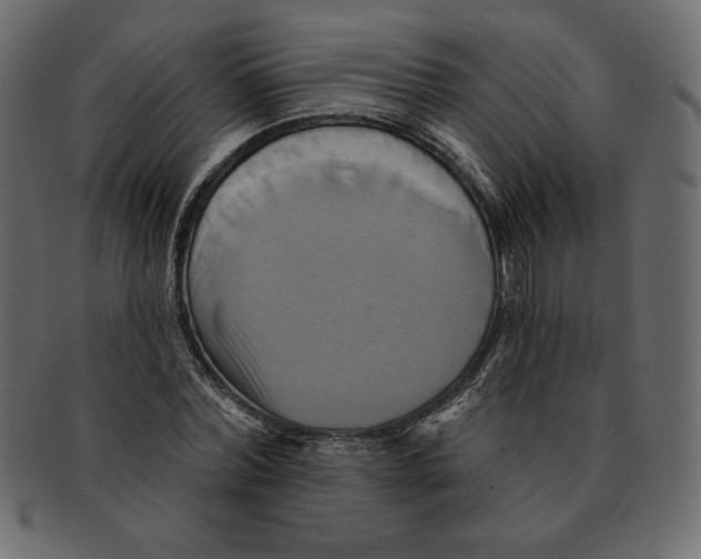 X0000091910780200710031018